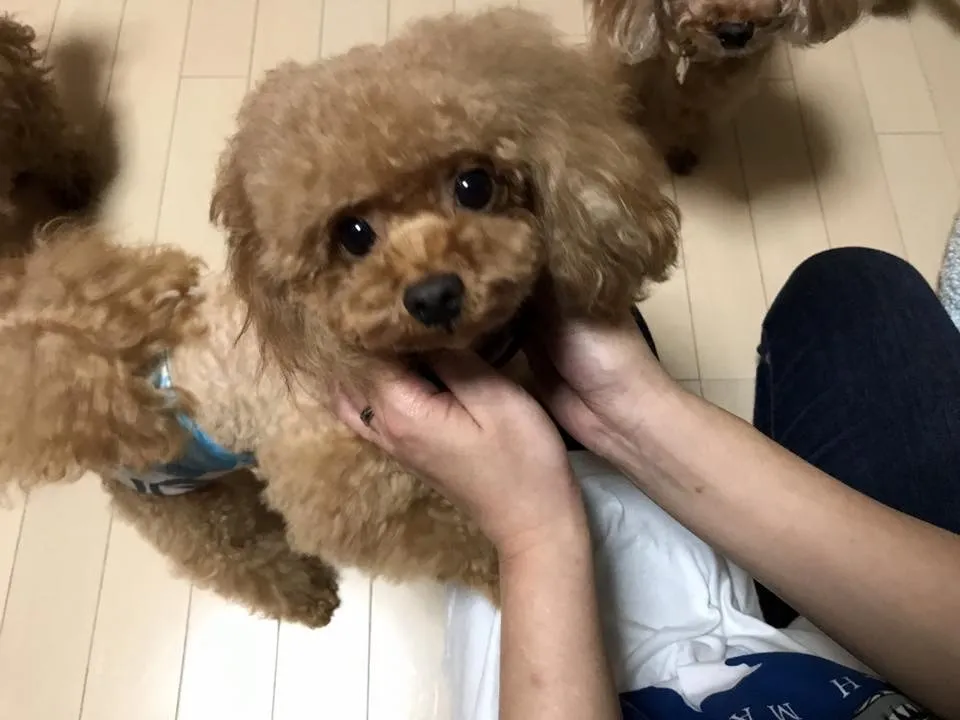 これからも頼りにさせて下さい。