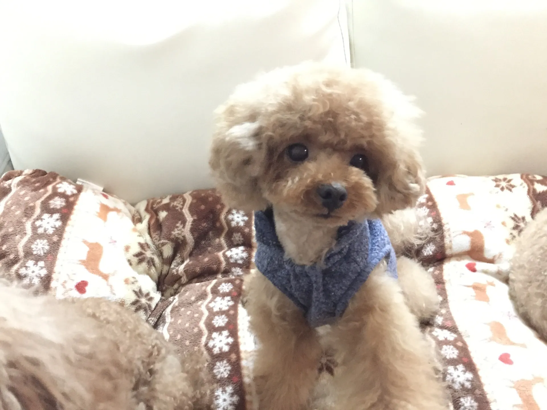 ありがとうございました!!